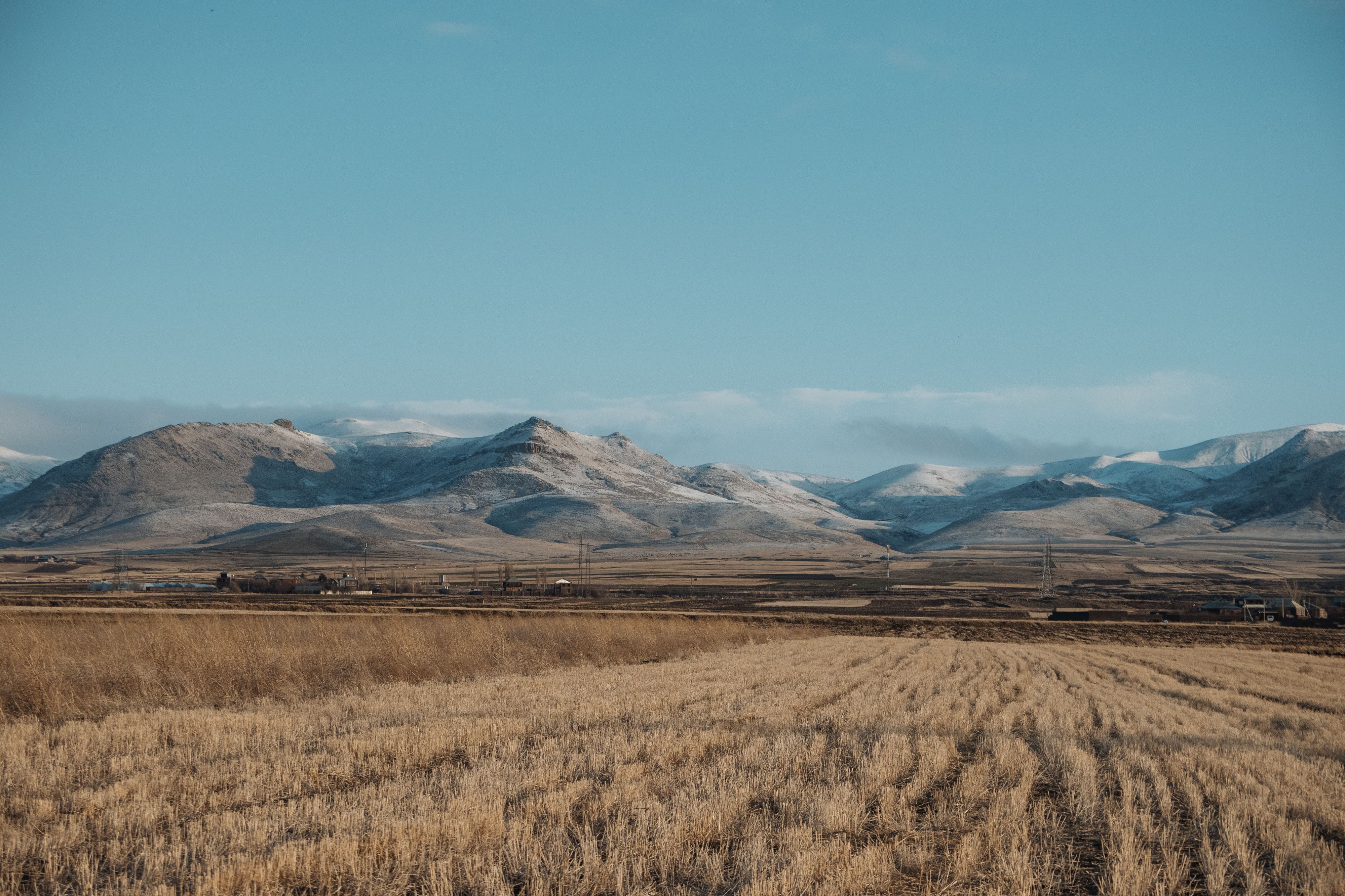 Утро 20 марта 2025 года в полях