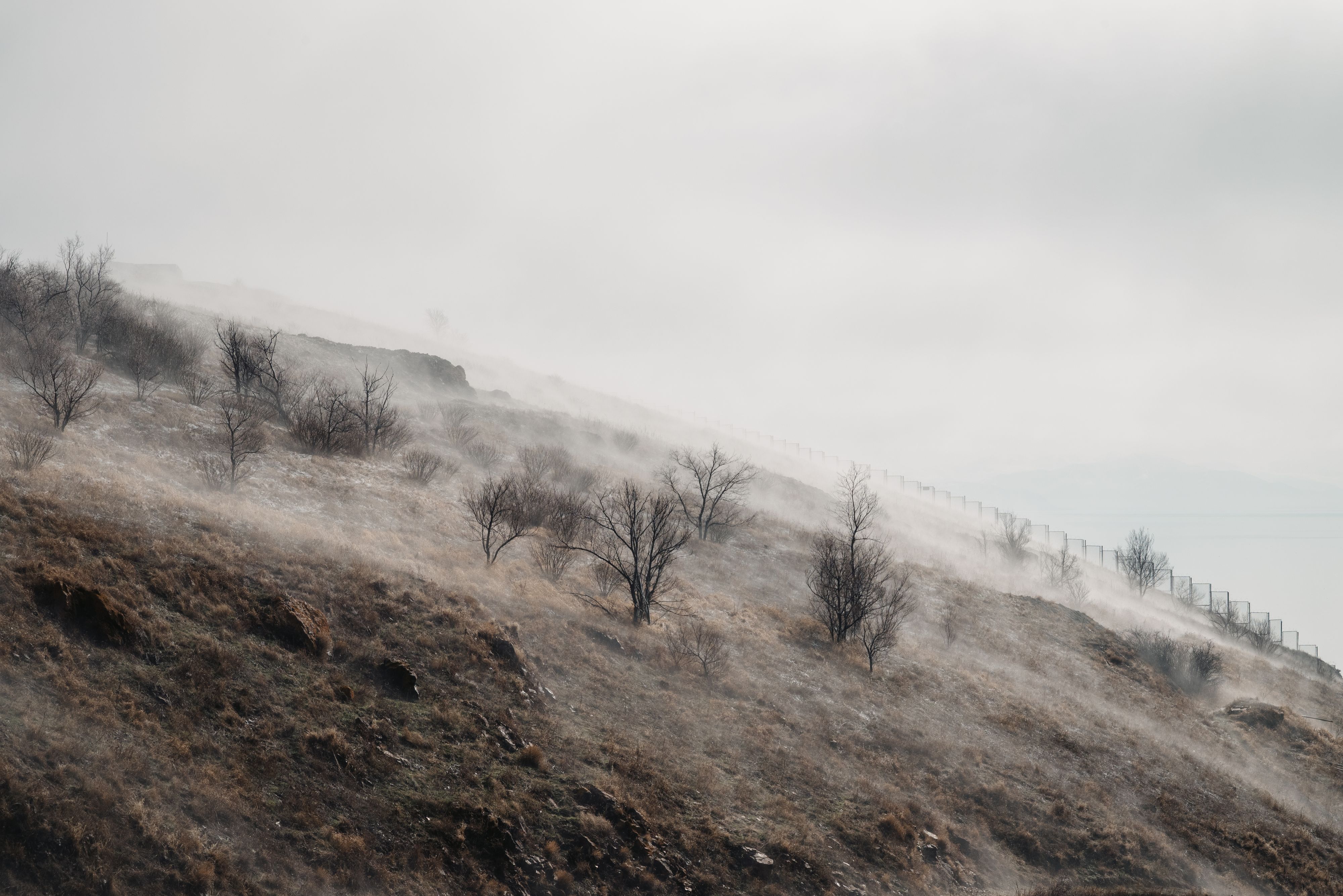 Дымящийся остров