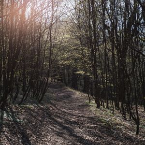 Первая зелень