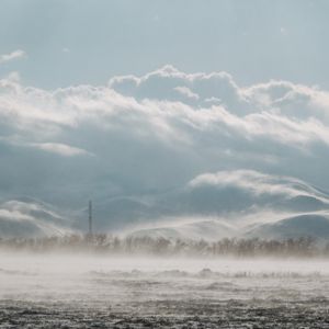 Весенняя метель