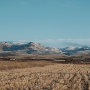 Утро 20 марта 2025 года в полях