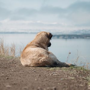 Задумчиво глядя на Севан