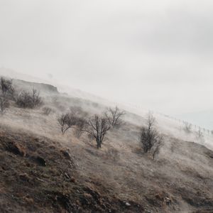 Дымящийся остров